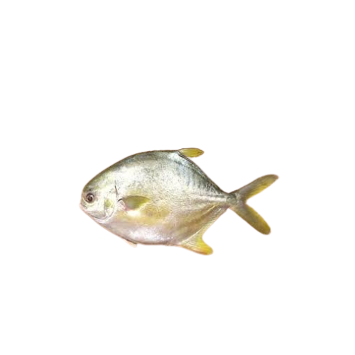 Design sans titre (39)